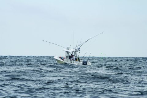 Tuna Fishing at “The Dump”