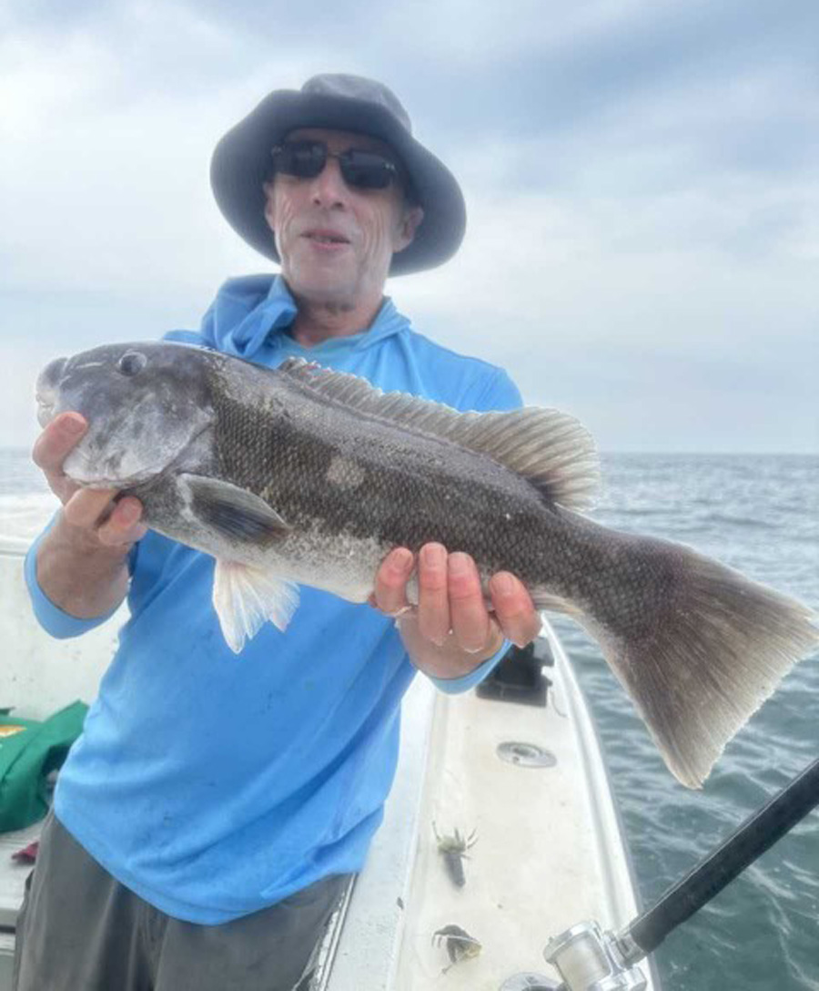 tautog