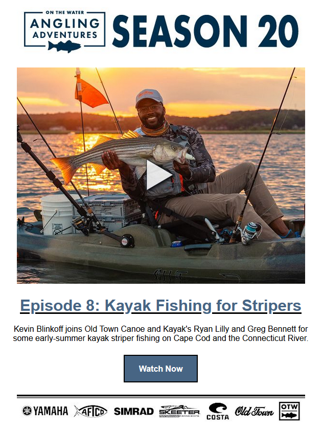 New Content Newsletter Example