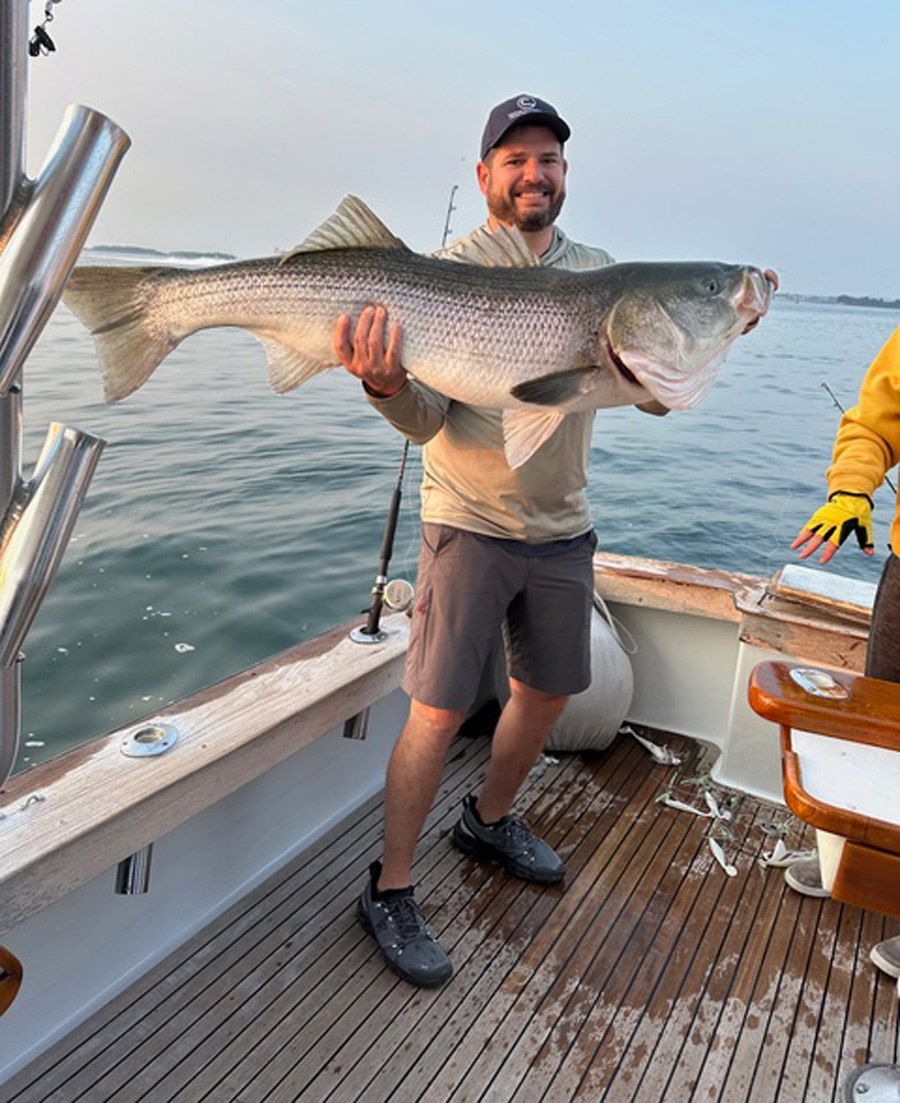 Reel Pursuit striped bass