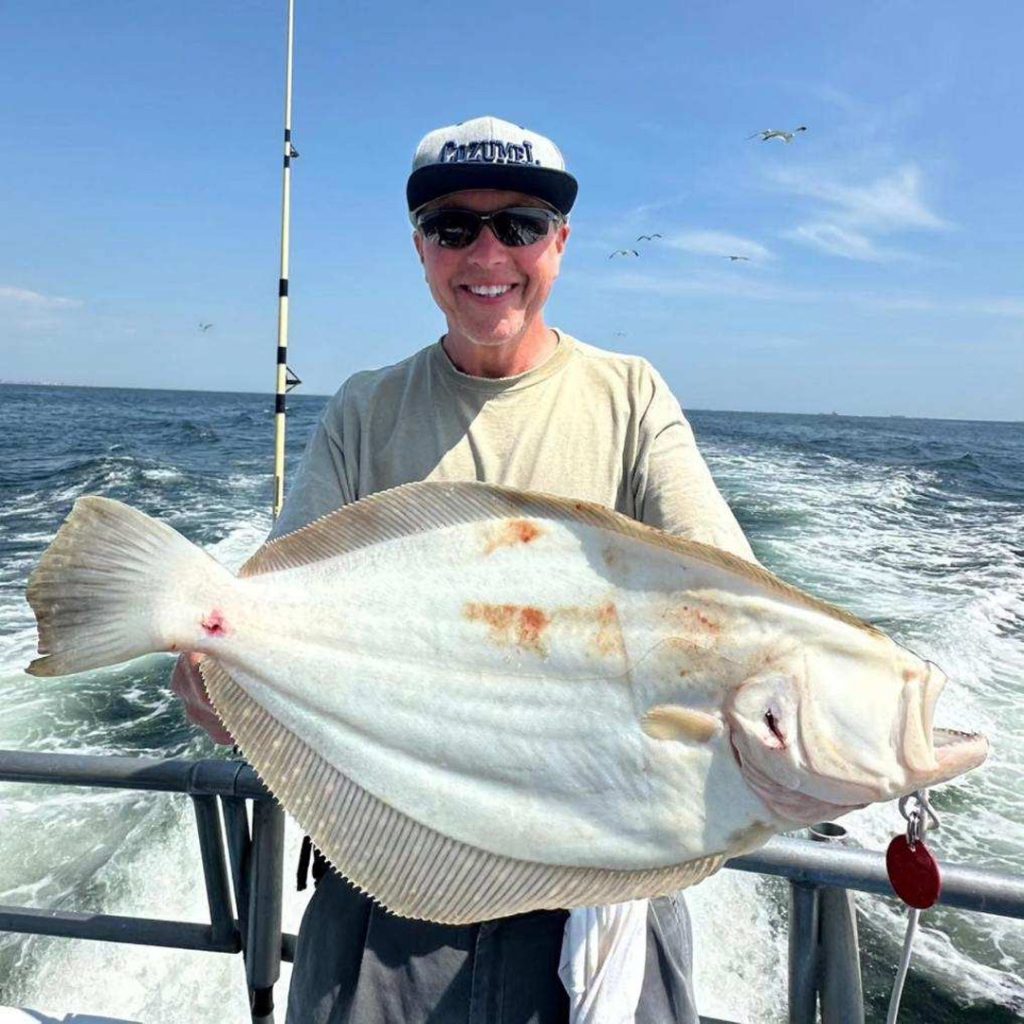 fluke