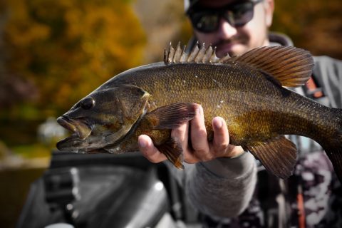 20 Great Gifts for Freshwater Bass Fishermen