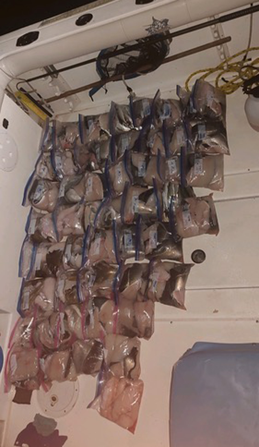 Adventureandcatch flllets