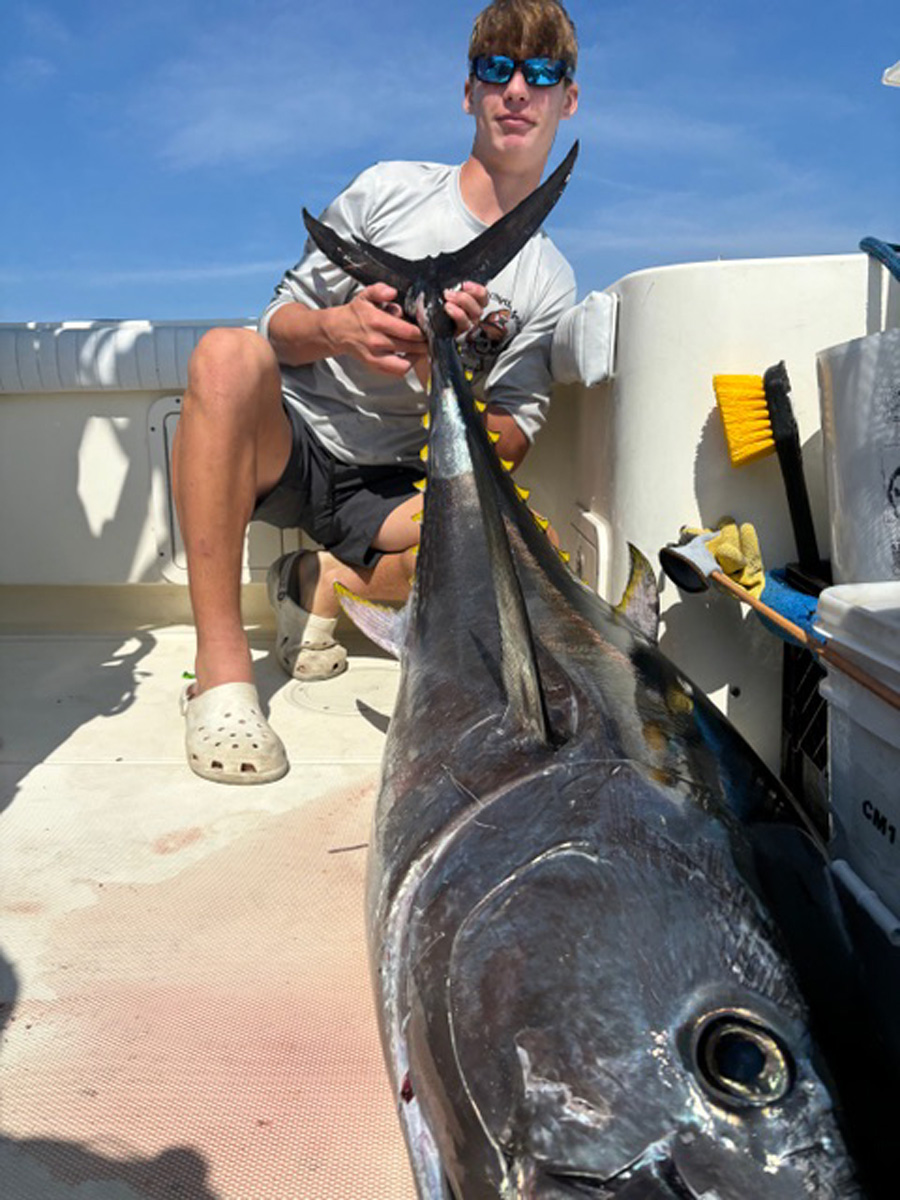 Legit Fish tuna