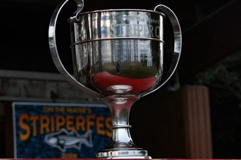 The Striper Cup
