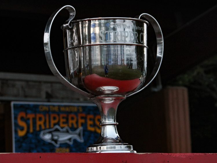 The Striper Cup