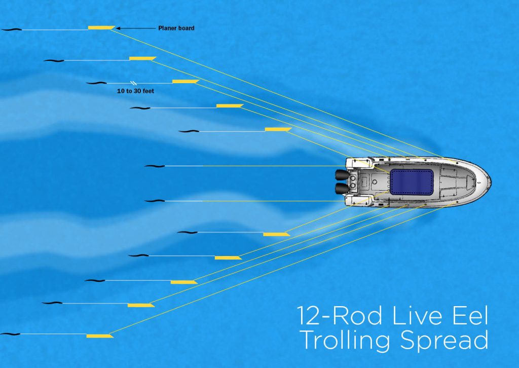 trolling eels for striped bass
