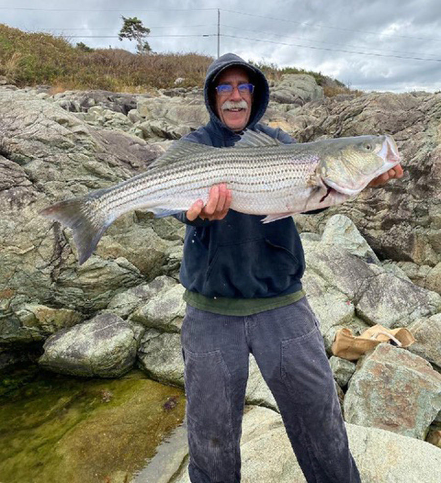 Cohasset striped bass
