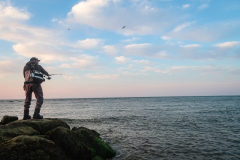 8 Surf Rods for Under $200