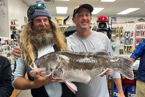 state-record tautog in Rhode Island