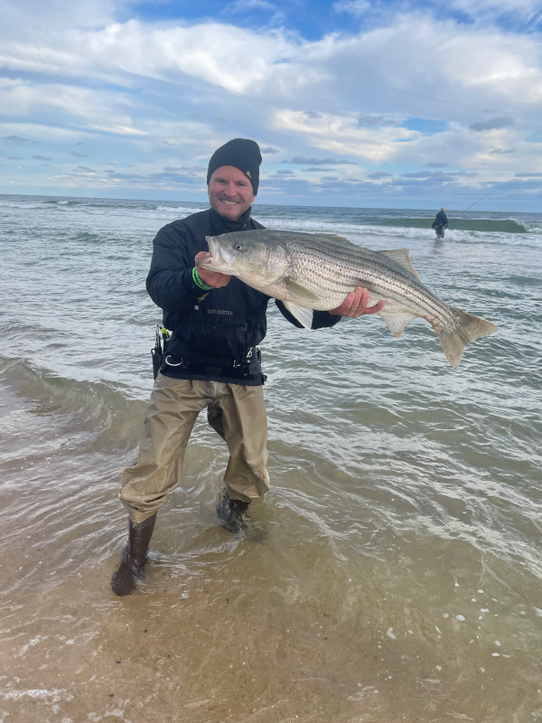 A surfcaster holding a striped bass while fishing at Montauk. The ocean is in the background. A surfcaster is standing on a rock in the surf.