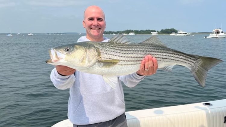 T Sea Charters striped bass