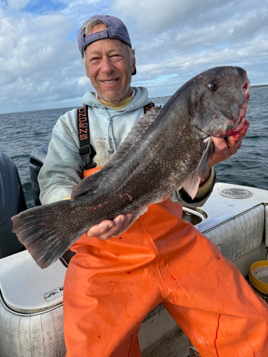 Little Sister tautog