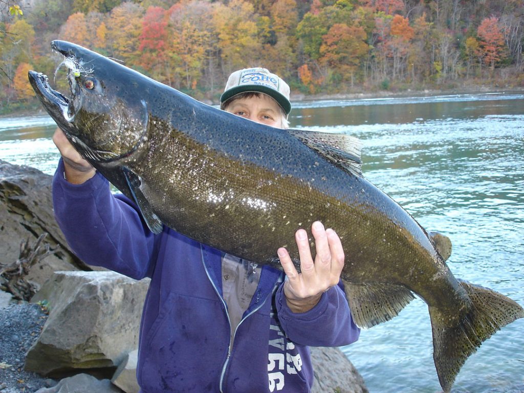 Mike Rzucidlo with king salmon