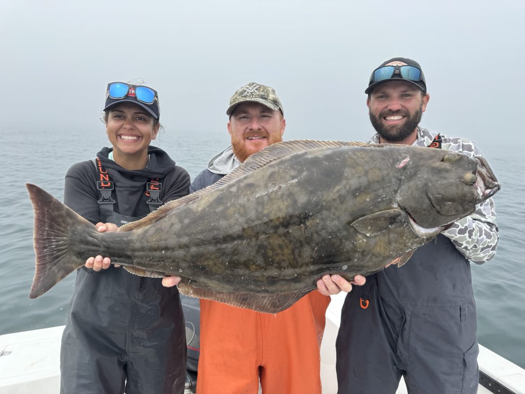 world record Atlantic halibut