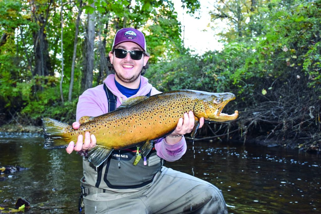 brown trout of Lake Ontario