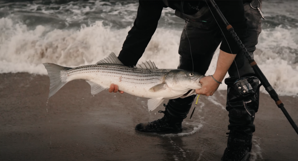 Ava diamond jig