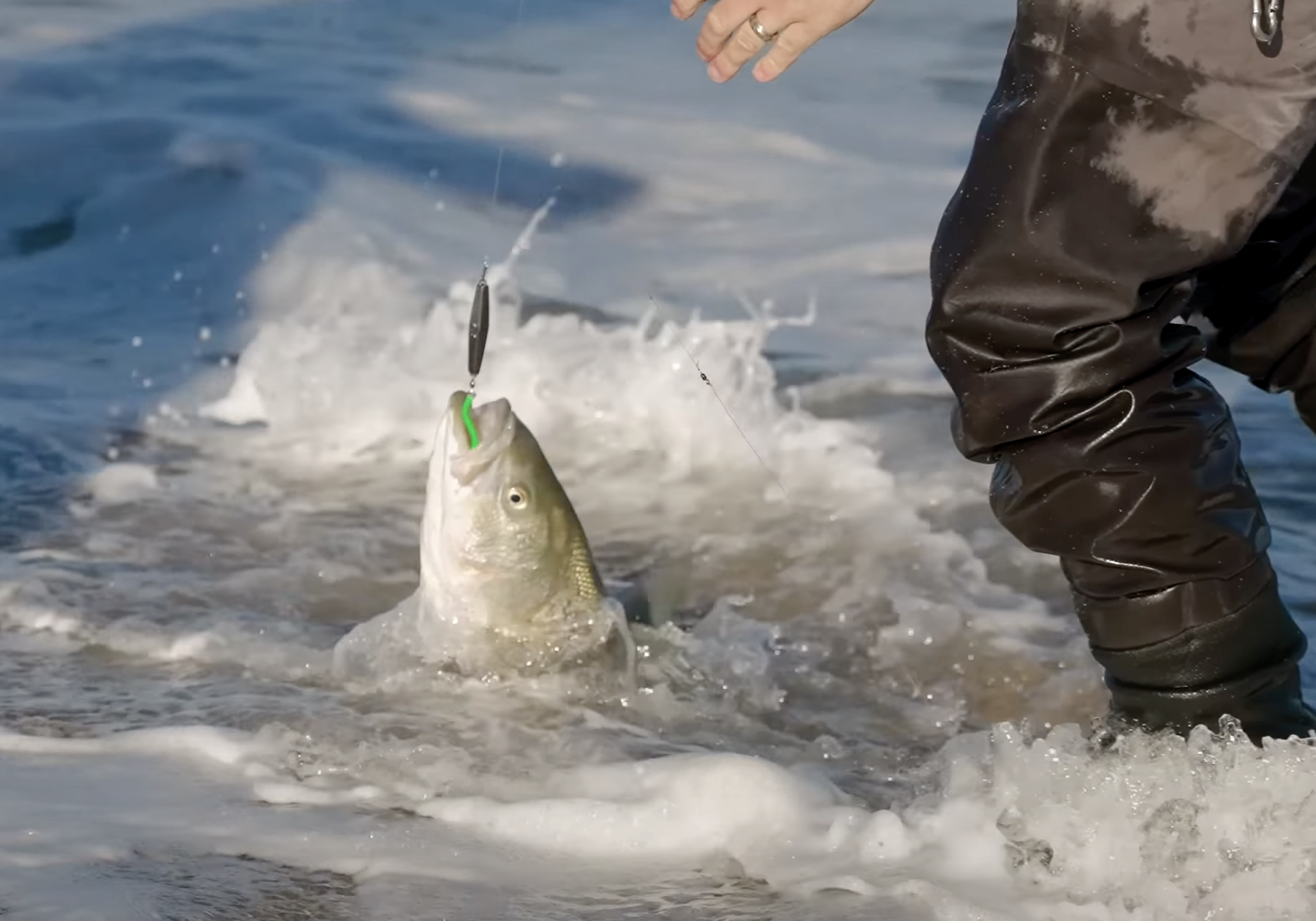 Diamond Jig Tips for Surf Stripers