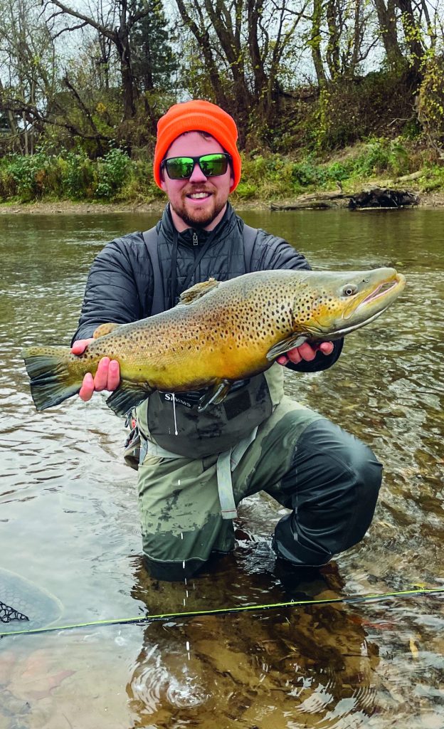 brown trout of Lake Ontario