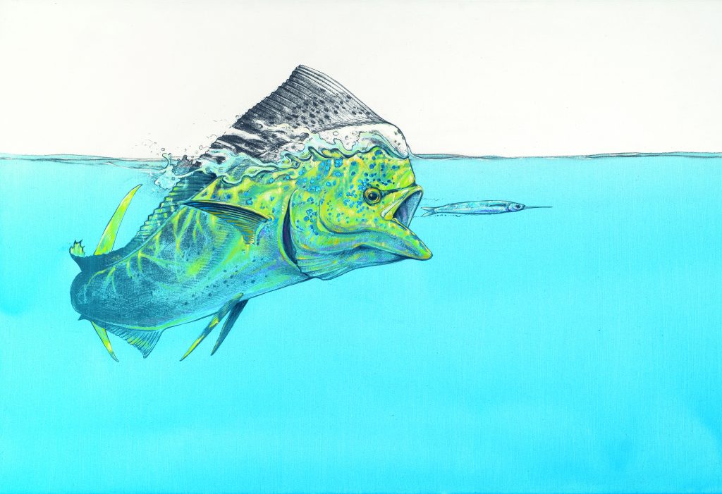 Amadeo Bachar - Angling Artist Nov/Dec 2024