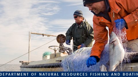 Maryland DNR Wants to Hear From Striper Anglers