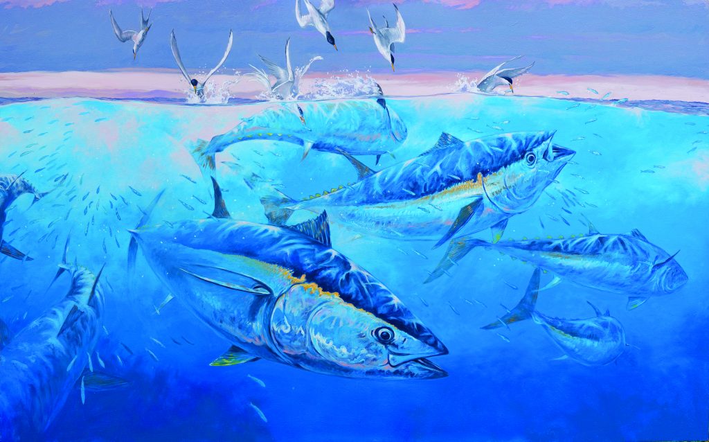 Amadeo Bachar - Angling Artist Nov/Dec 2024