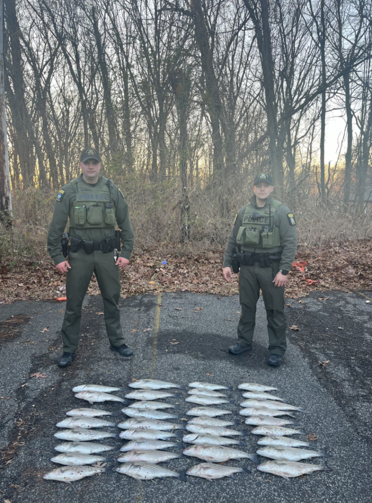Staten Island striped bass poachers