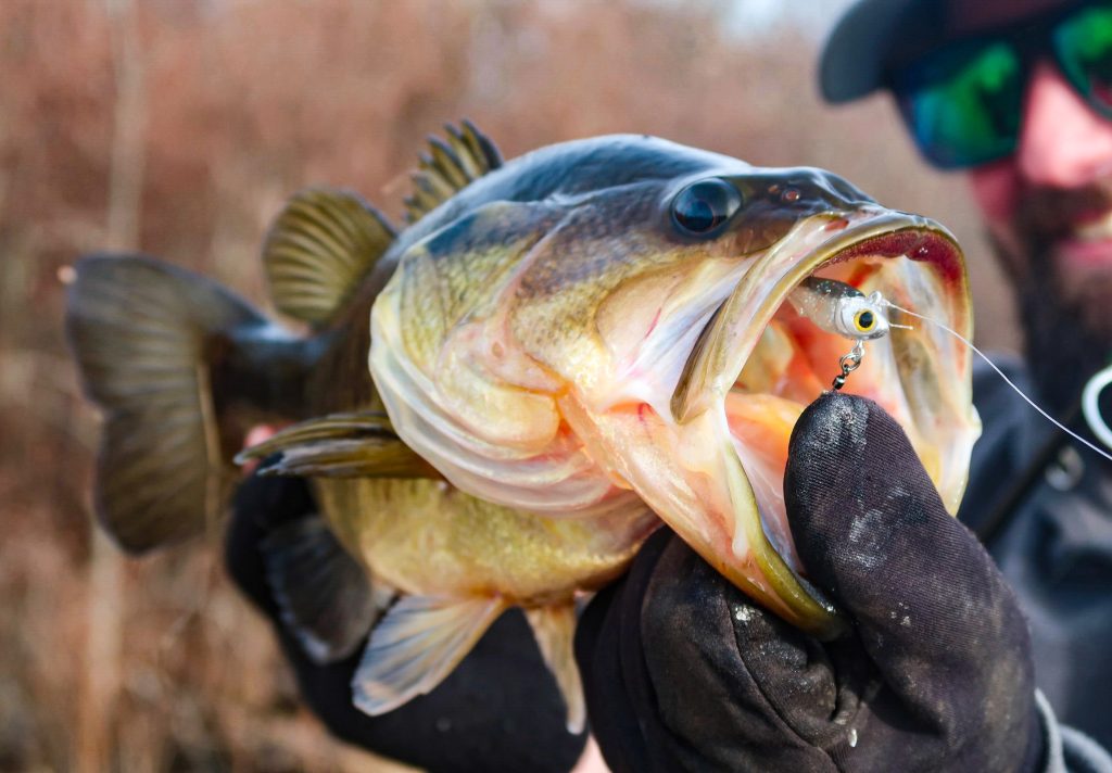 winter largemouth lures
