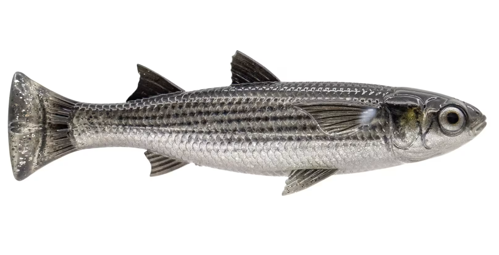 Savage Gear line-through swimbaits