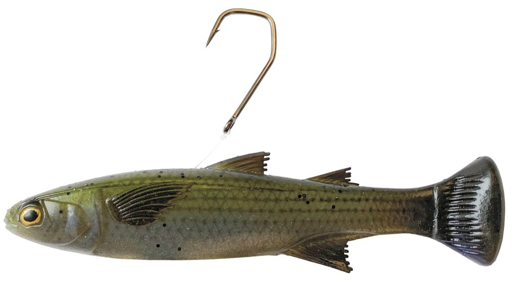 Z-Man Mulletron: line-through swimbaits