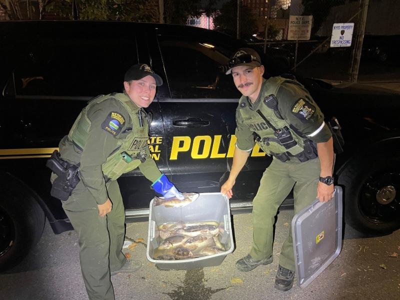 blackfish poacher NYSDEC