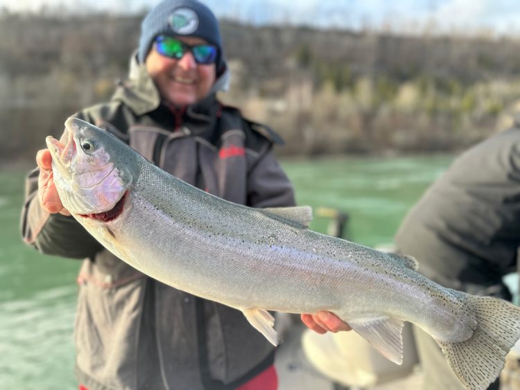 Capt. Frank Campbell with steelhead
