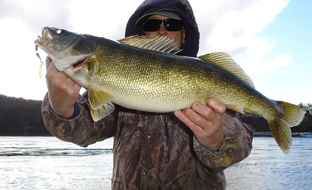 Mike Rzucidlo with waleye