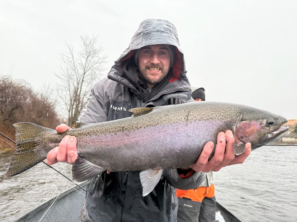 Oswego River steelhead
