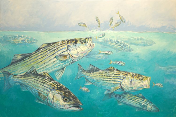 Amadeo Bachar - Angling Artist Nov/Dec 2024