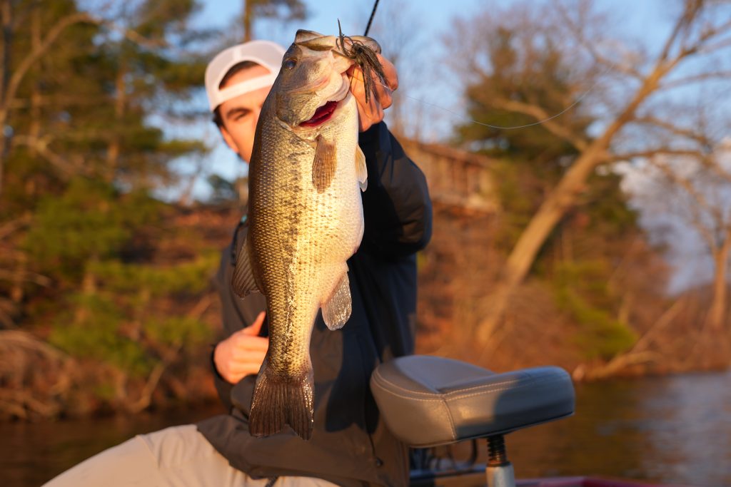 Breaking Down the Bass Fishing Seasons