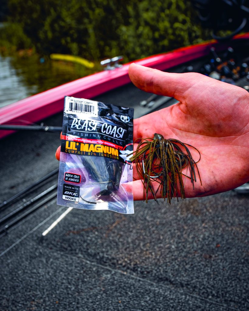 Breaking Down the Bass Fishing Seasons