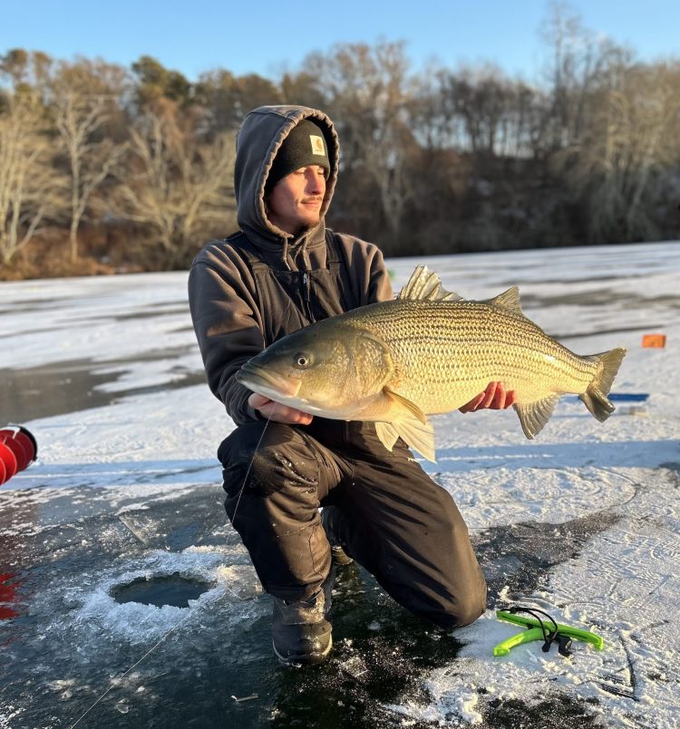 striper through the ice on Martha's Vineyard
