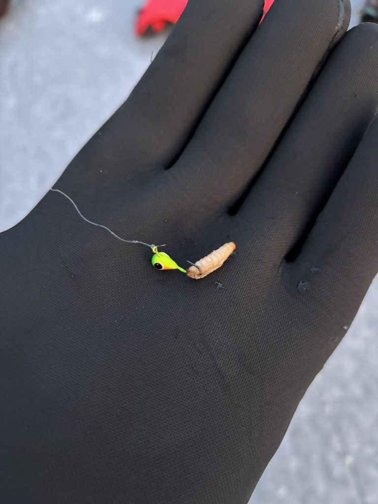 A small fishing jig tipped with a meal worm.