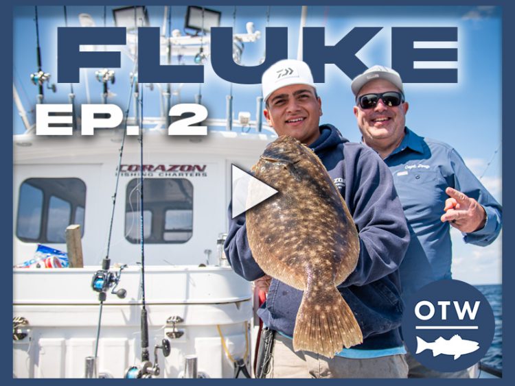 OTWAA S22E02 Fluke