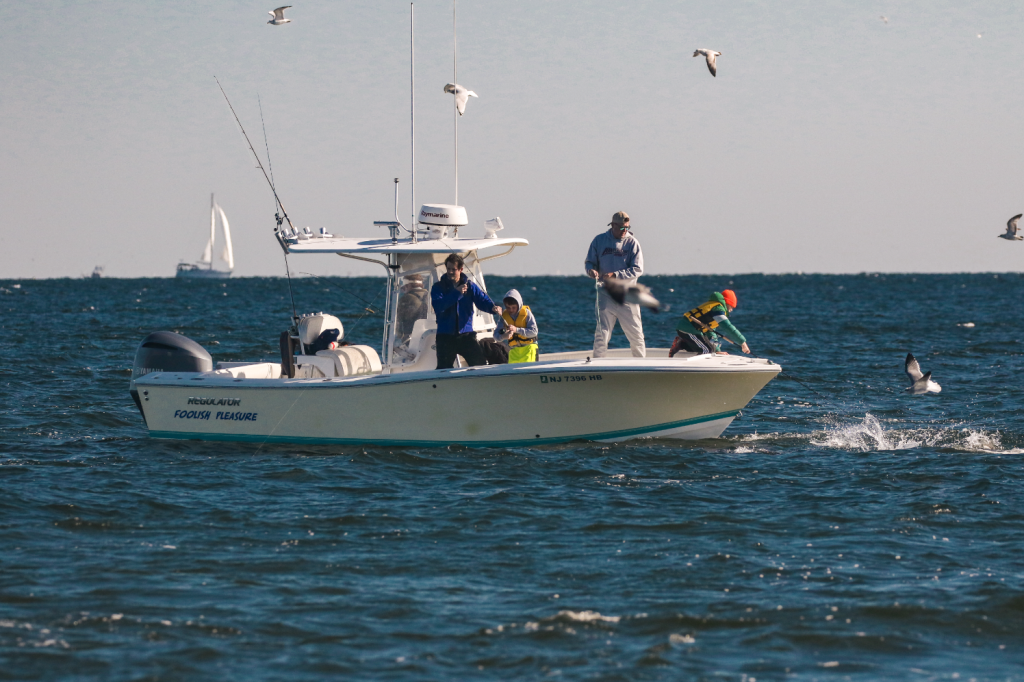 photos from the Kids Striper Classic