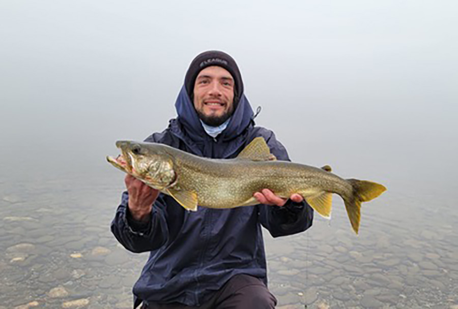 Wachuset lake trout