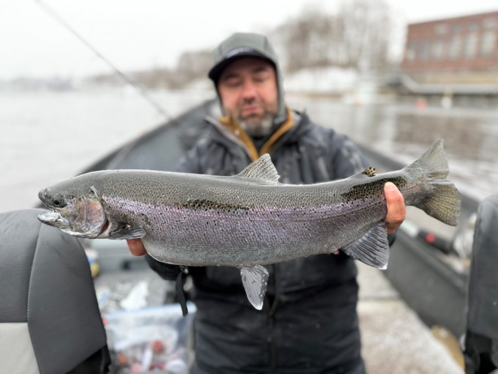 Chasin' Tail Adventures steelhead