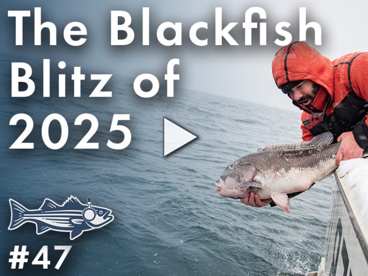 The Blizzard Blackfish Blitz of 2025 &ndash; OTW Podcast