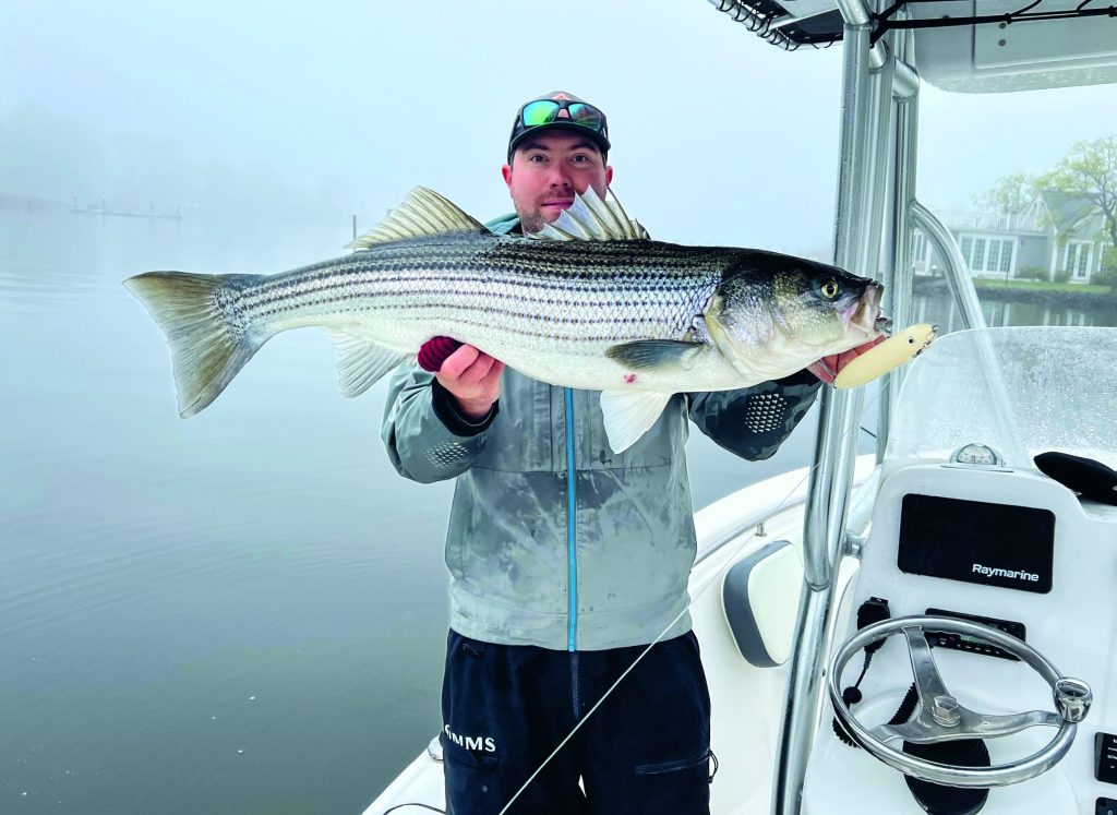 stripers in New Jersey's rivers