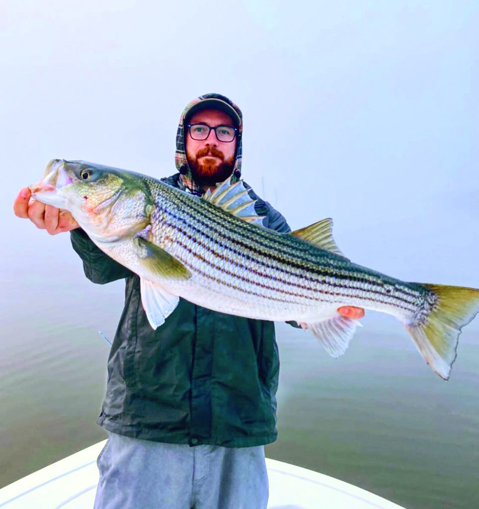 stripers in New Jersey's rivers
