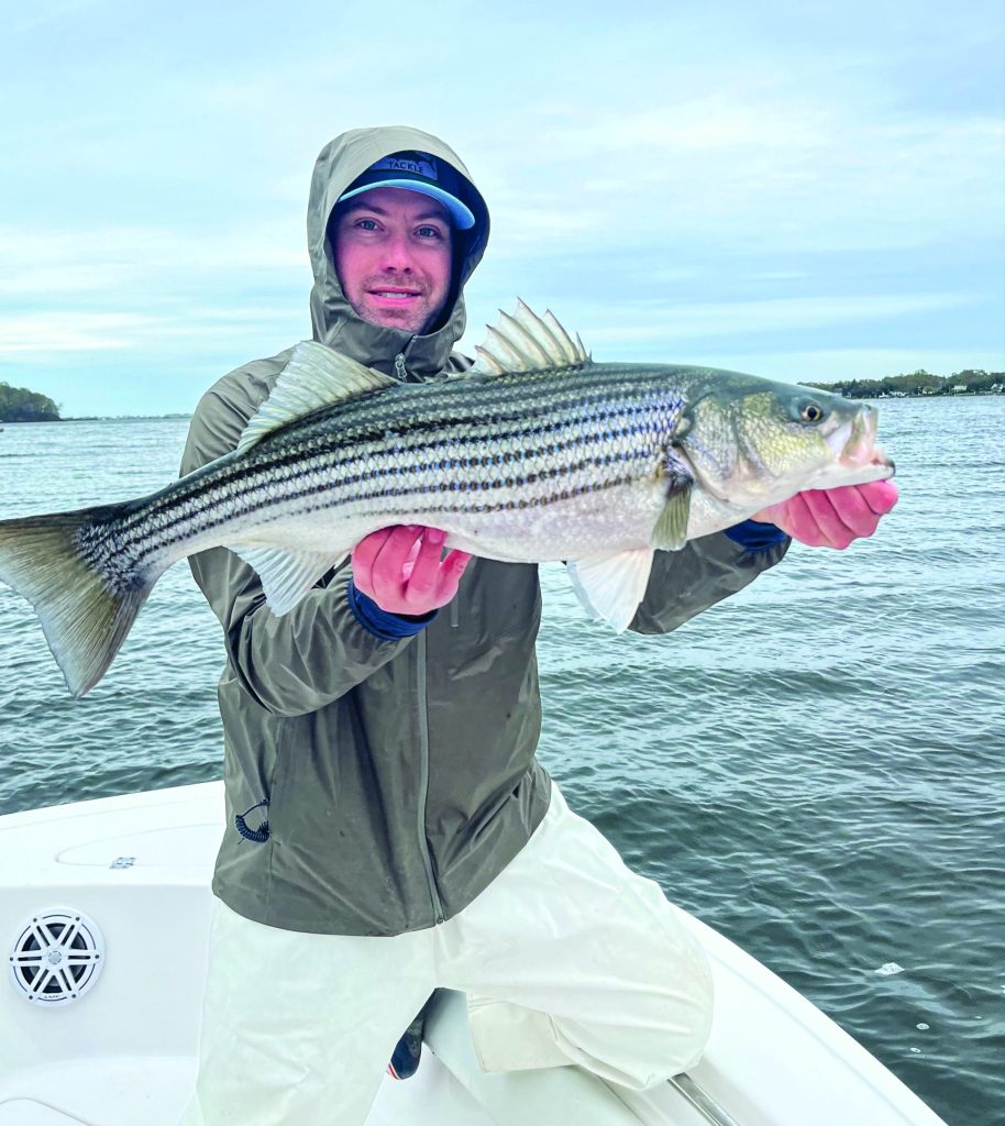 stripers in New Jersey's rivers