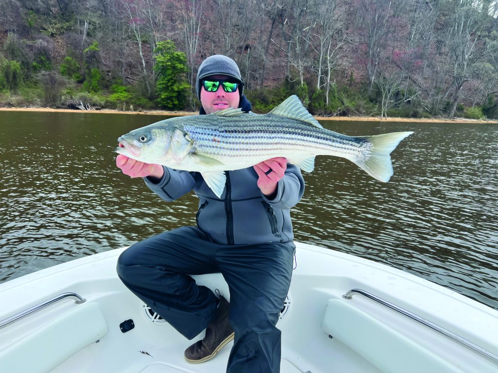 stripers in New Jersey's rivers