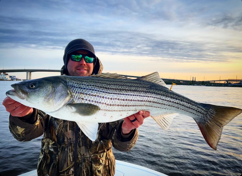 stripers in New Jersey's rivers