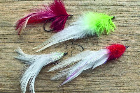Six Classic Fly Patterns for Striped Bass